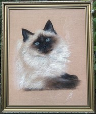 21 Inch X 17 Inch Oil On Fabric Seal point Cat