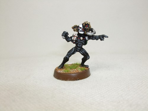 Culexus assassin imperial - culexus,