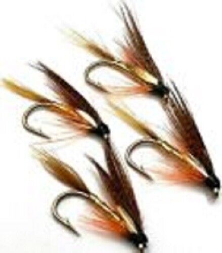 Trout fishing wet flies - trout,