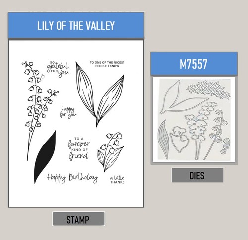 Lily the valley clear - lily,