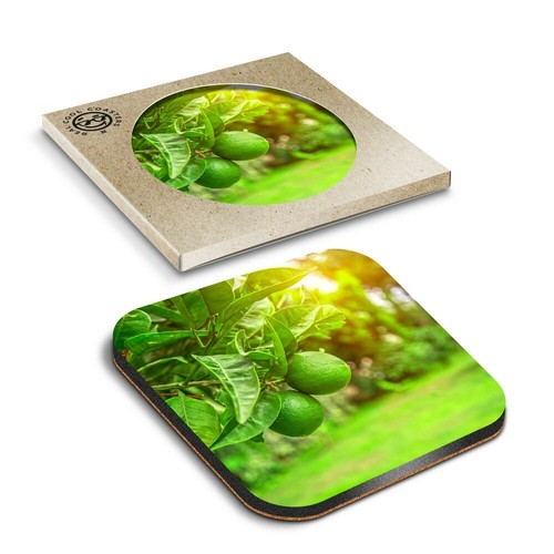Boxed square coasters - 1,