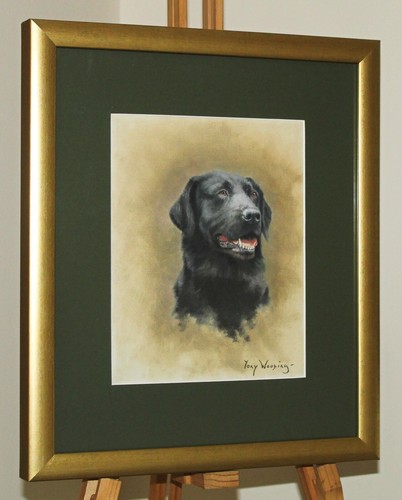 Tony wooding - tony,