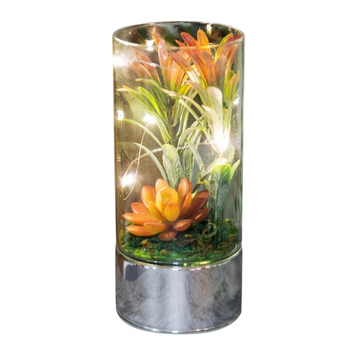 Hestia glass terrarium - glass, led