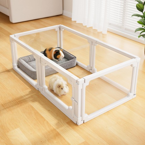 Acrylic guinea pig - acrylic, cages