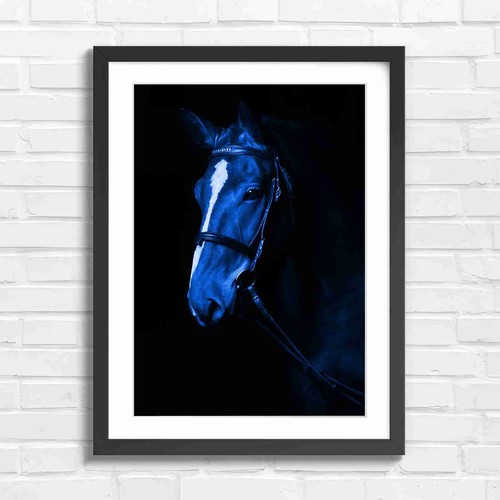 Brown horse portrait with - brown,