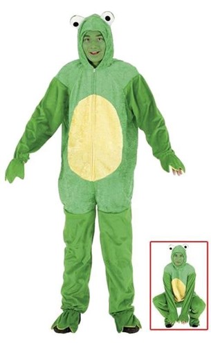 Green frog adult animal fancy - adult,