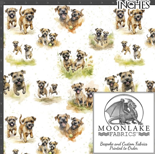 Border terrier fun - border,