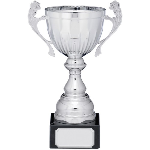 Silver presentation cup with - silver,
