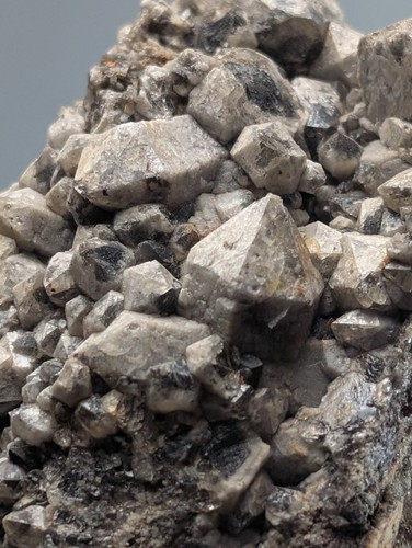 Coontail smoky quartz - coontail,