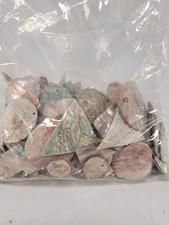 Polished abalone shell pieces - polished,