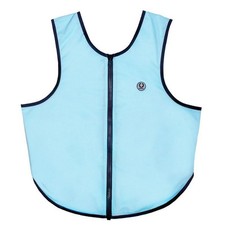 Champion Ti22 Adult Body