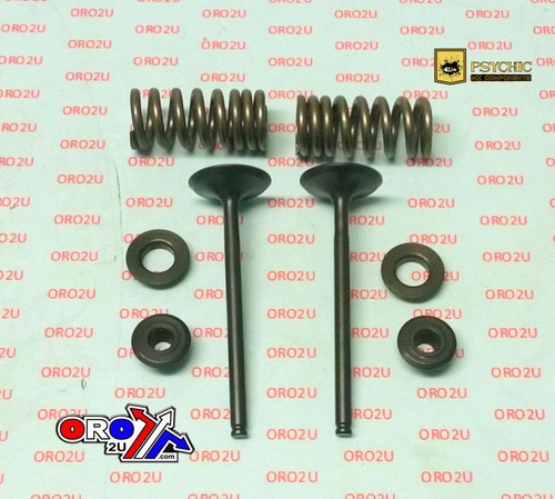 Psychic exhaust valve spring - psychic, valve+spring