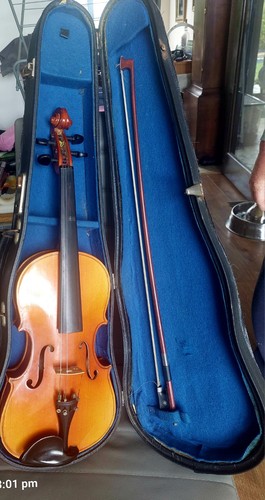 Skylark 007 violin with - skylark,