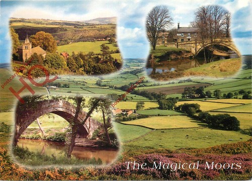 Picture postcard north - postcard_,