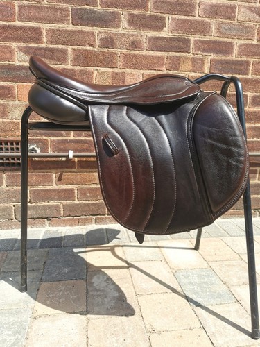 Ava native saddle calf - 16.5",