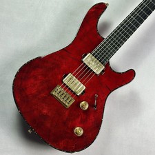 (Mayones)Regius6 Custom