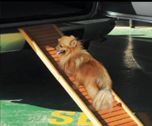 Dog ramp lightweight wooden - ramp,