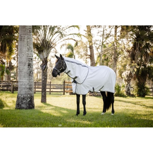 Amigo summer sheet - summer, plus