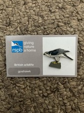 Rspb Pin Badge Goshawk
