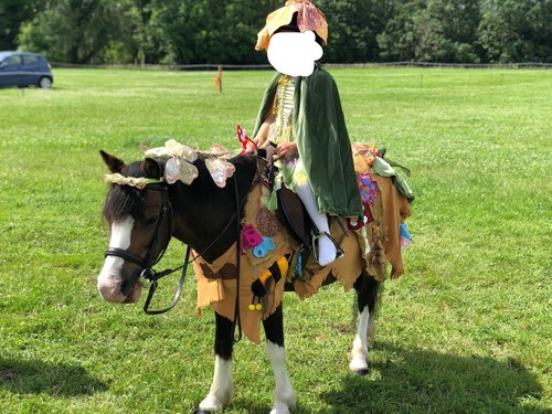 This woodland fairy - pony, fancy
