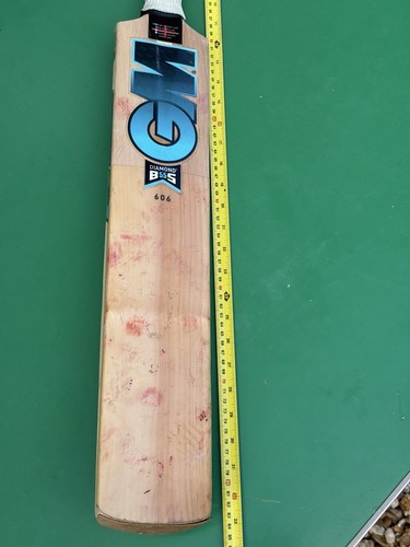 Gunn moore cricket bat - gm,