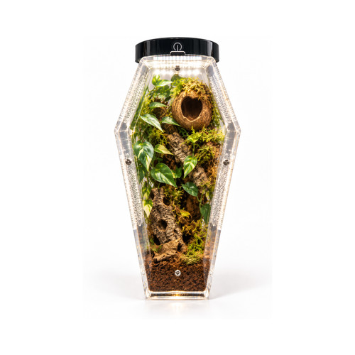 Jumping spider led - spider,