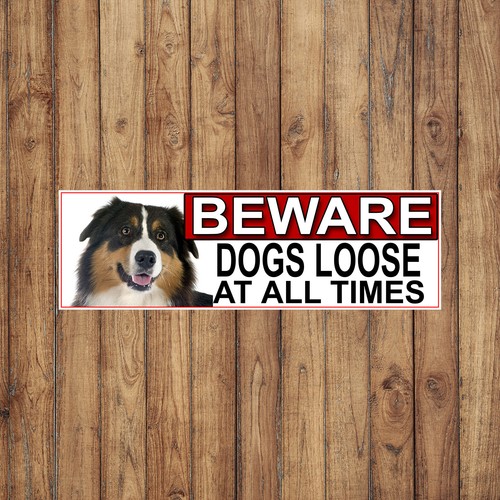 Australian shepherd beware - australian,
