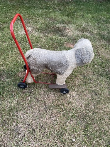 Rare vintage pedigree soft toy - vintage,