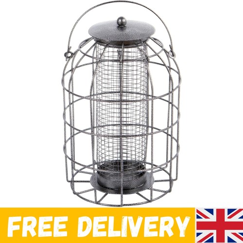 Bird peanut feeder - peanut, squirrel