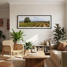 Tasmanian panorama photograph
