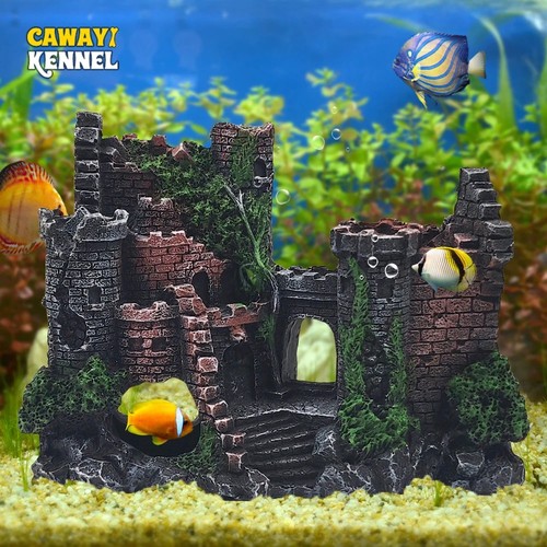 Aquarium fish tank - aquarium,