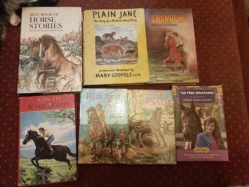 Mixed horse pony books - books, lovely