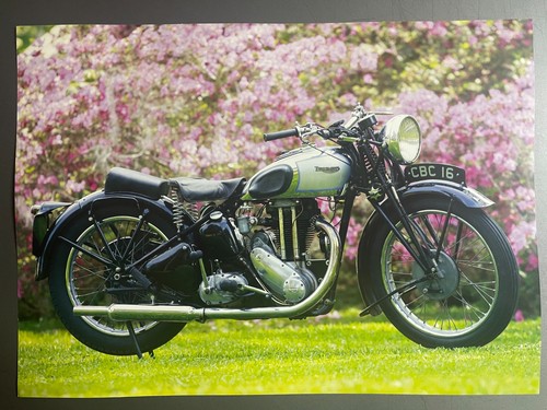 1938 triumph tiger - 1938, 90