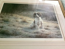 Early Townsend Limited Edition