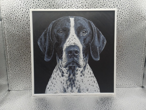 English pointer hueforge - english,