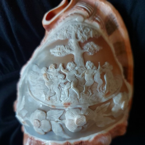 Vintage cameo conch shell lamp - shell,