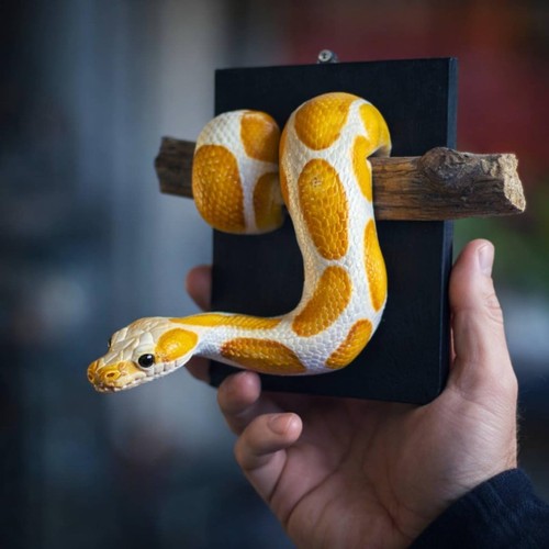 Wall sculpture realistic - realistic, 3d