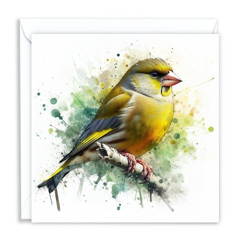 British greenfinch watercolour - british,