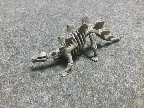 Stegosaurus skeleton toy - stegosaurus,