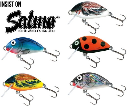 Salmo tiny bug - salmo,