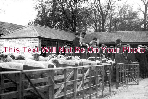 784 cattle market - 784,