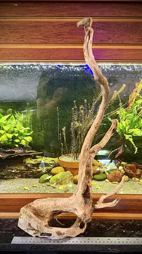 Aquarium driftwood tall - xl,