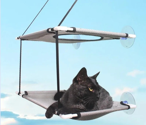 Cat hammock window - bed, kitten