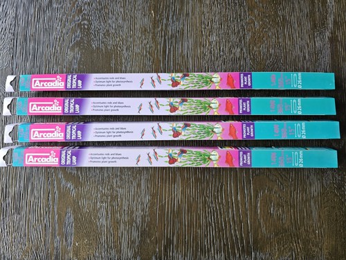 Arcadia original tropical - 4,