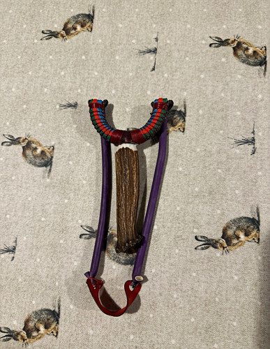 Hunting gypsy catapult - hunting,