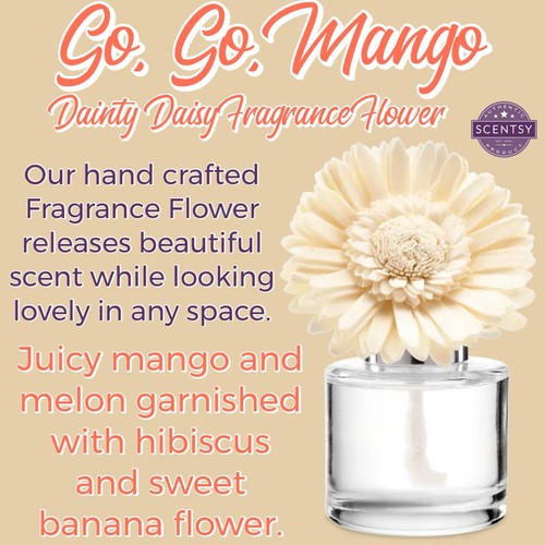 Scentsy mango dainty - go,,