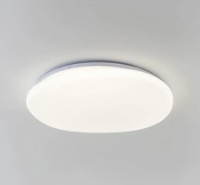 Flush Pebble Shaped Ceiling