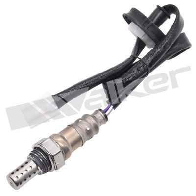 Walker 350 34955 - walker, oxygen