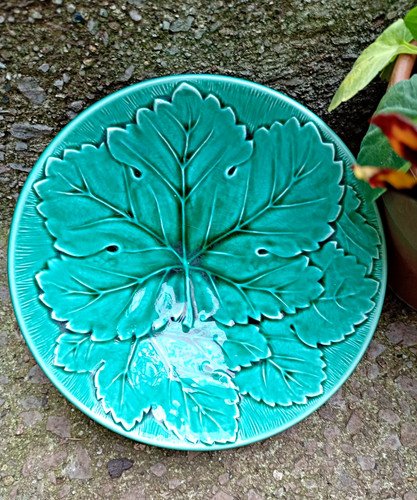 Vintage green wedgwood - green,