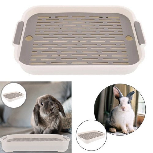 Rabbit litter box training - litter,